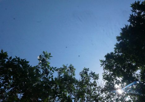 img-3919