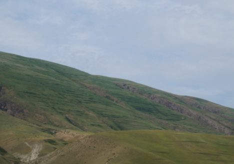 img-3822