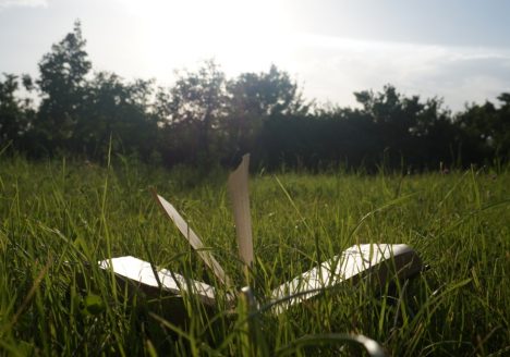 img-3855