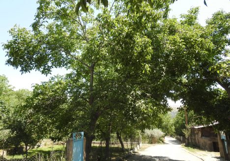 img-4321