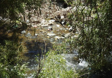 img-4309