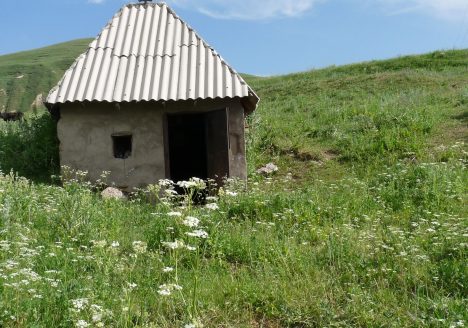 img-4104