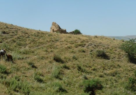 img-4133